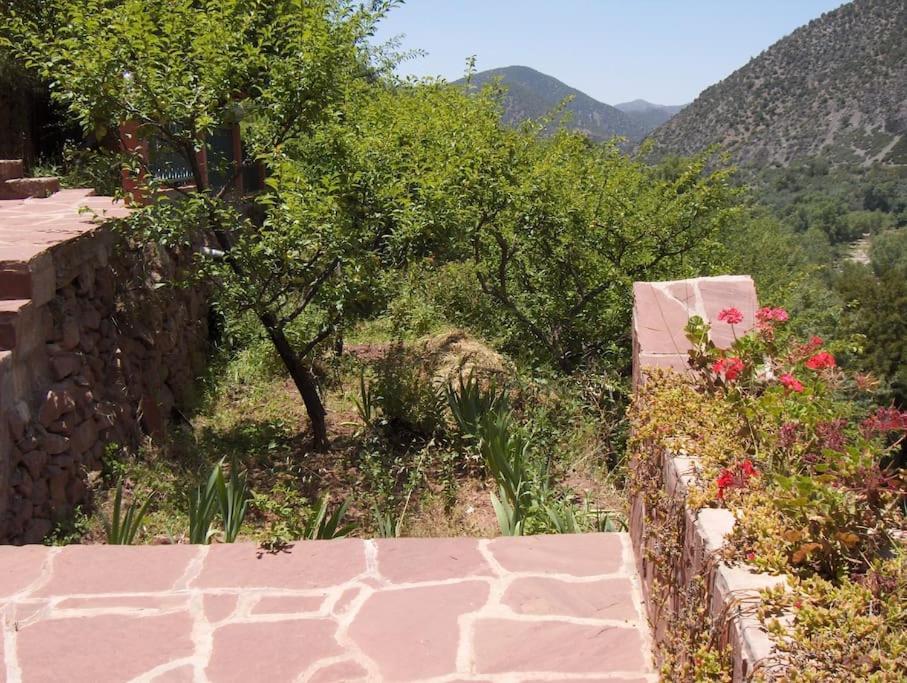 Romancia Ourika Vallee Hébergement de vacances *