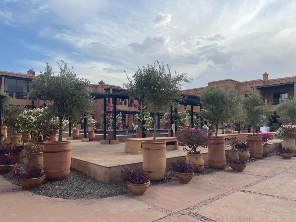 Dans Jardin De L'atlas Marrakesh