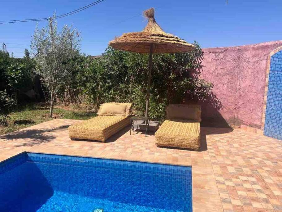 Rosa * Marrakesh