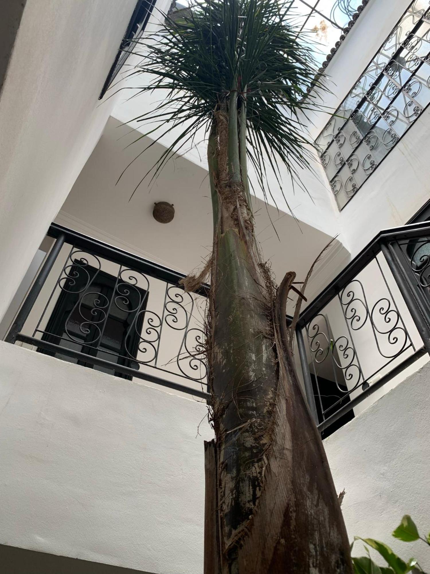 Riad Bouaalilou * Marrakesh