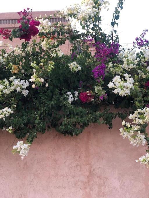 Jolyamelkis - Golf Marrakech Appartement Marrakesh