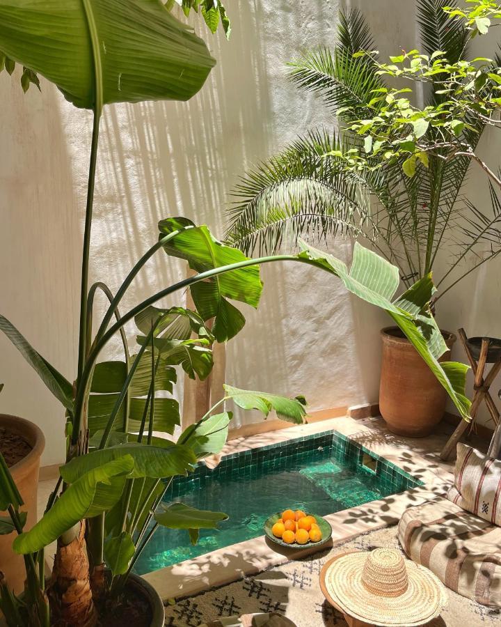 Riad Riad Dar Zaman