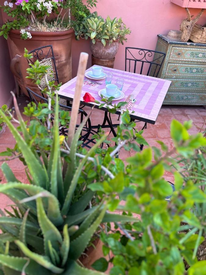 Lauriers Blancs 3* Marrakesh