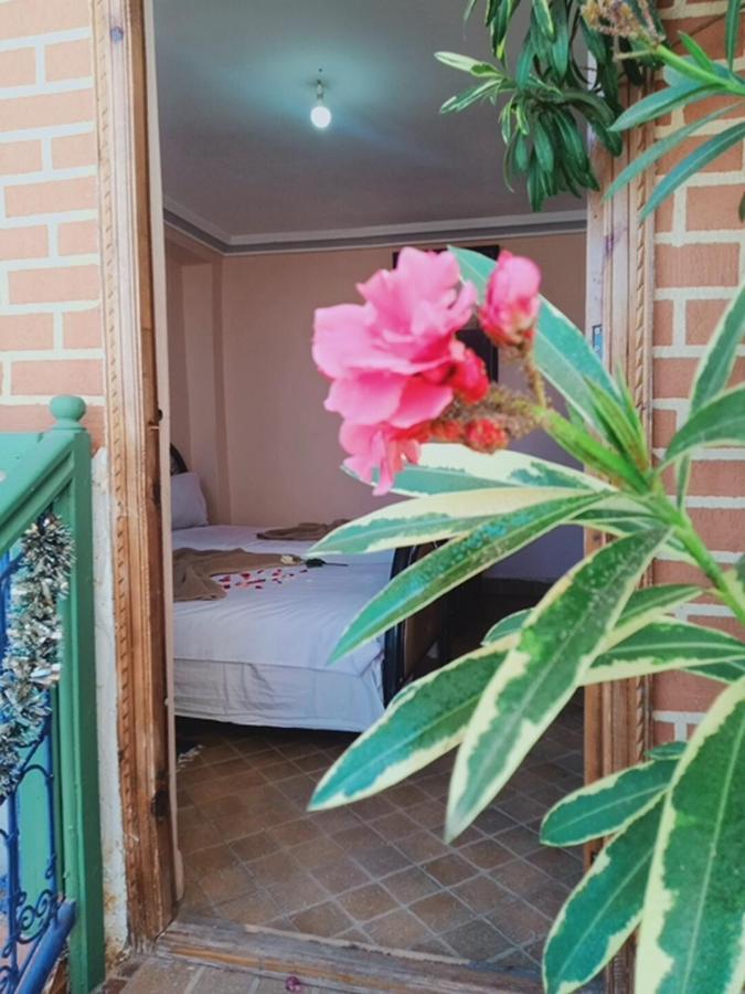 Guest house Wink