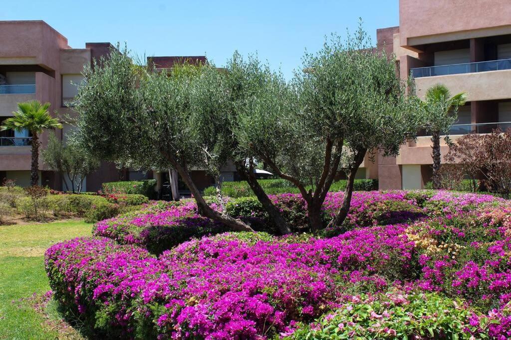 Bel Appart Fonctionnel Prestigia Golf Marrakech Appartement