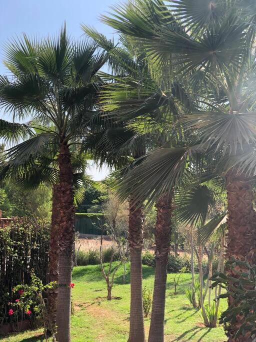 Jolyamelkis - Golf Marrakech