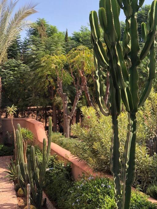 Appartement Jolyamelkis - Golf Marrakech Marrakesh