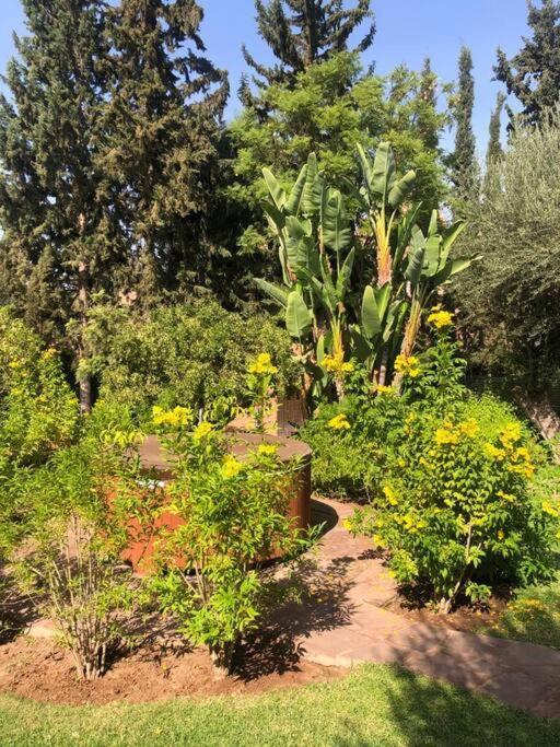 Jolyamelkis - Golf Marrakech * Marrakesh