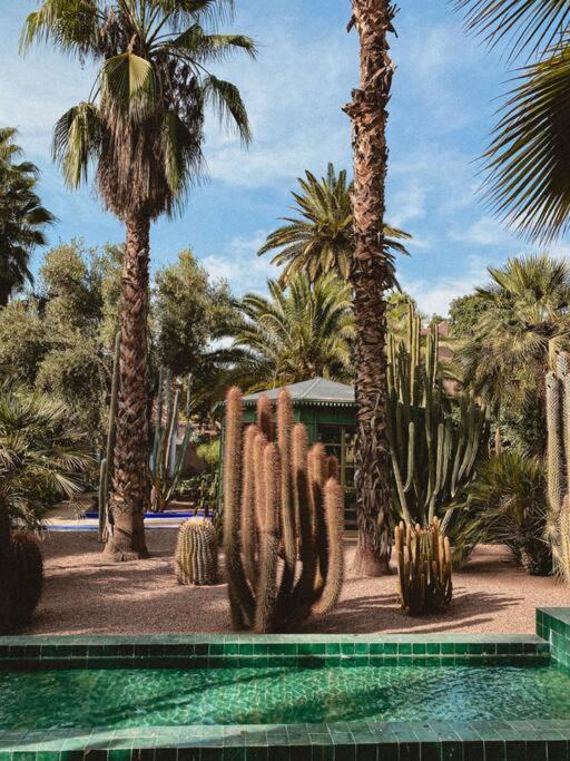 Apartment The Vogue - Marrakech Centre Marrakesh