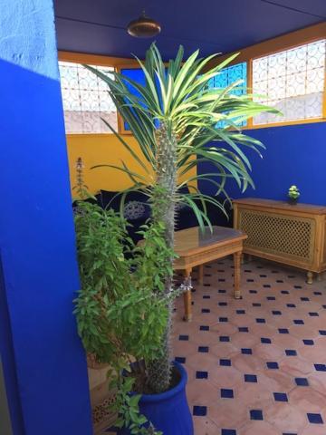 Authentic Moroccan Charm In Marrakech Terrace * Marrakesh