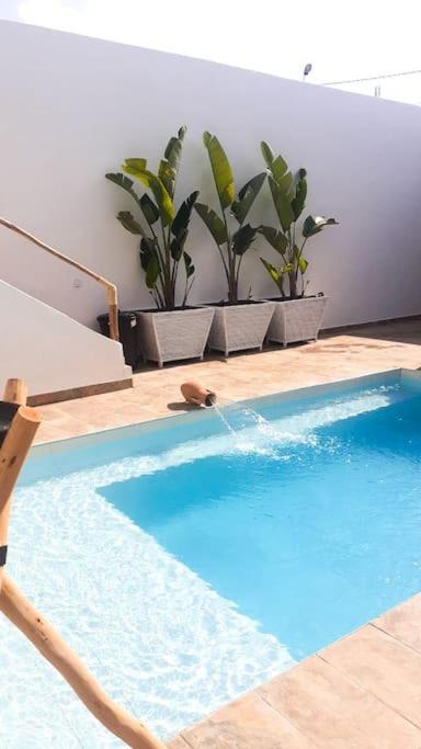 Magnifique Sans Vis-a-vis • Marrakech Villa *