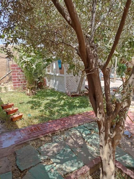 Dar Jamila Appartement *