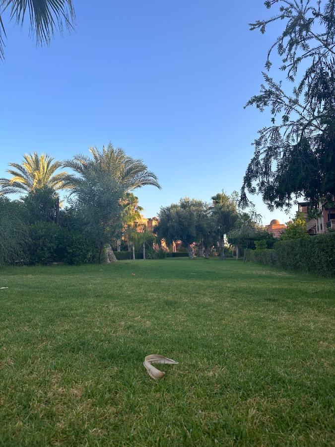 Palm View Appartement