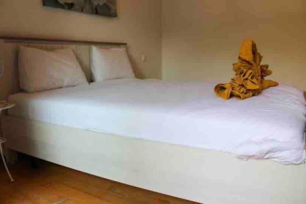 Apartment Magnifique Rez De Jardin A Agdal Marrakesh