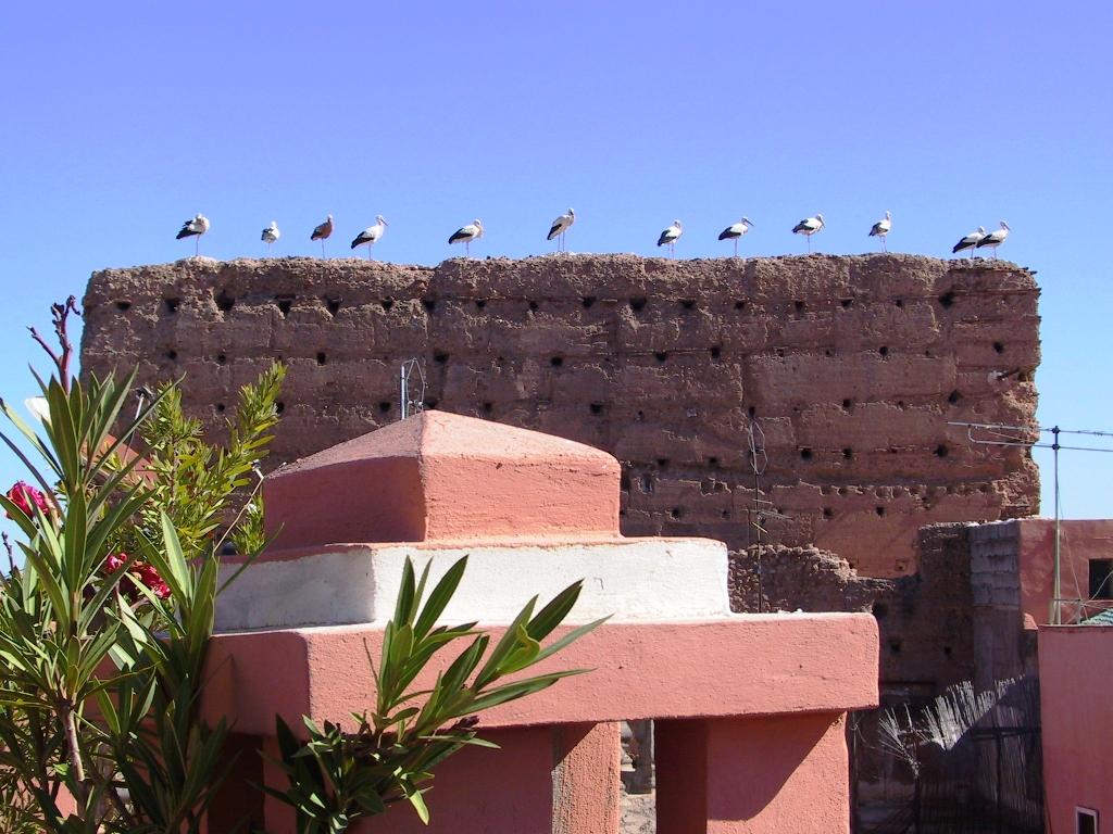 Hotel El Farah Kasbah