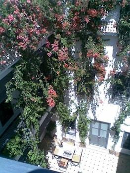 Bougainvillea Marrakesh