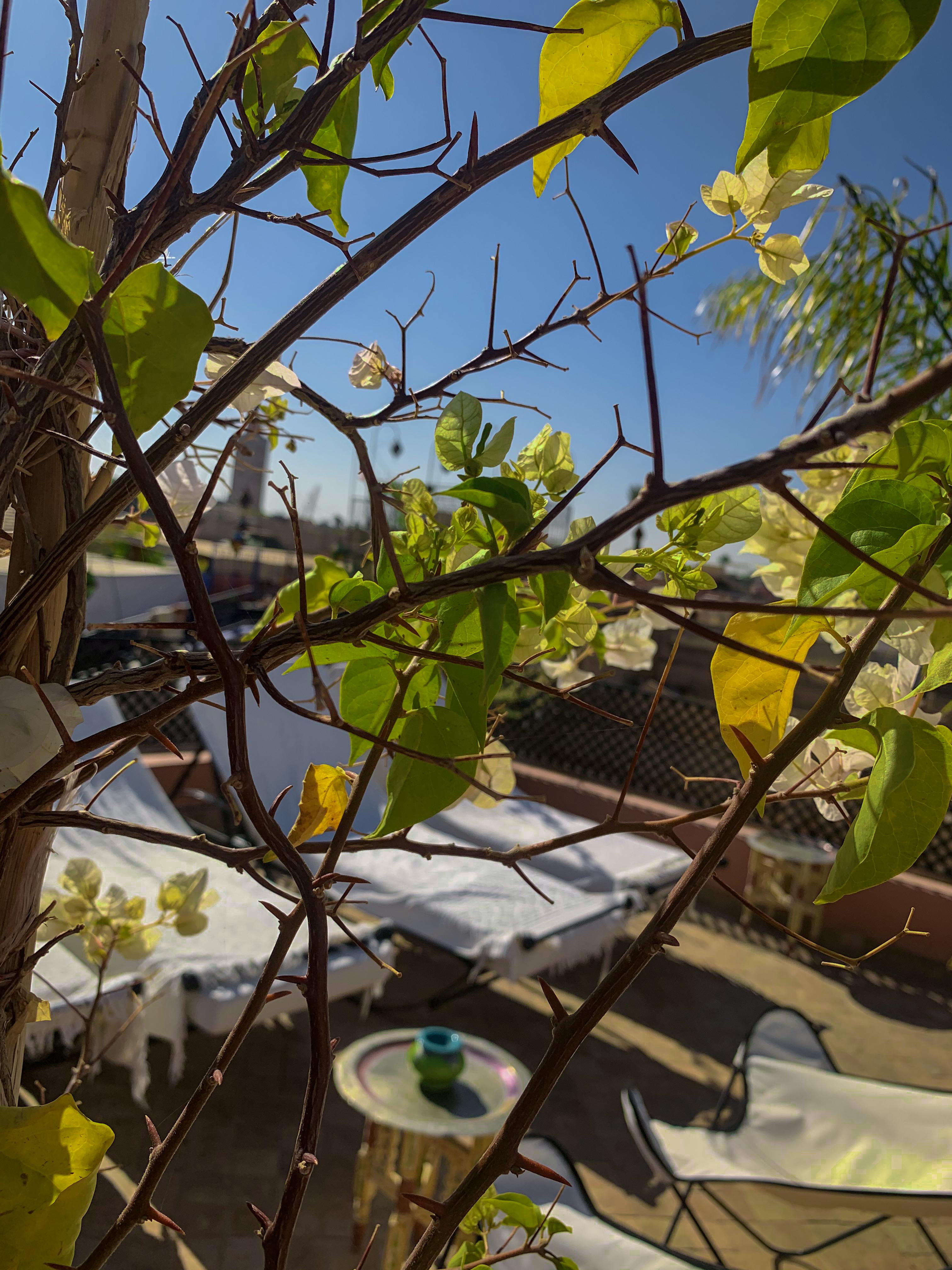 Abaka & Boutique 4* Marrakesh