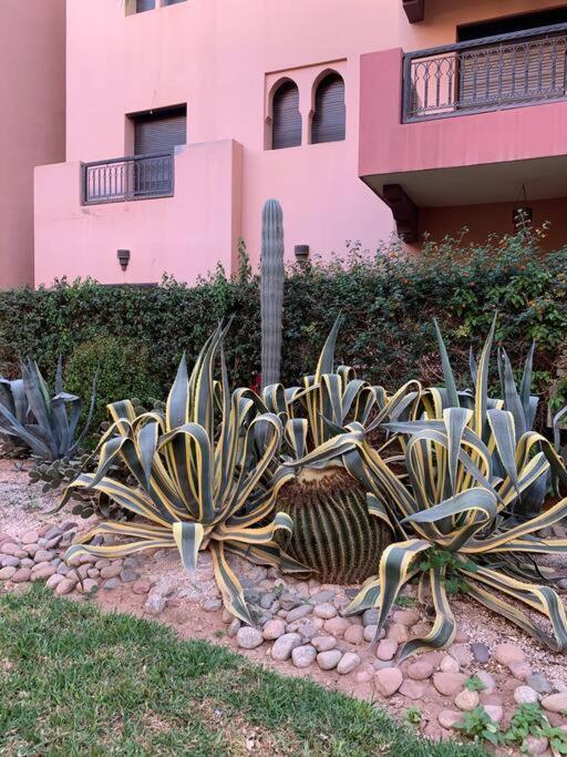 2-bedroom + Salon In The Heart Of The Palmeraie Marrakesh