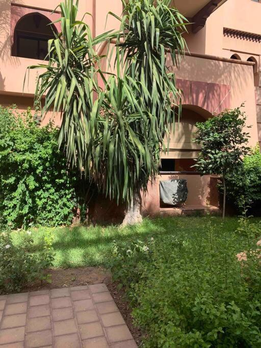 2-bedroom + Salon In The Heart Of The Palmeraie Appartement
