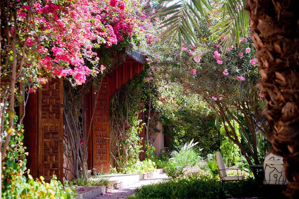Dar Ayniwen Garden Hotel&bird Zoo Marrakesh