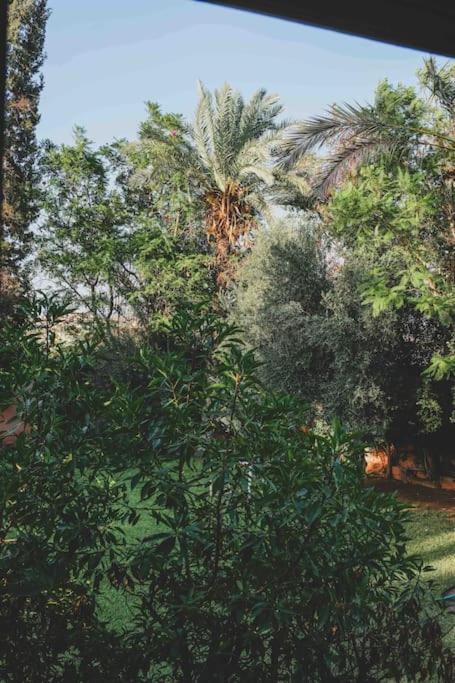Wassim * Marrakesh