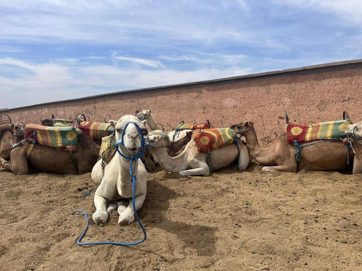 Tente de luxe Imlil Marrakesh