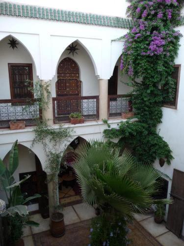 Al Faras