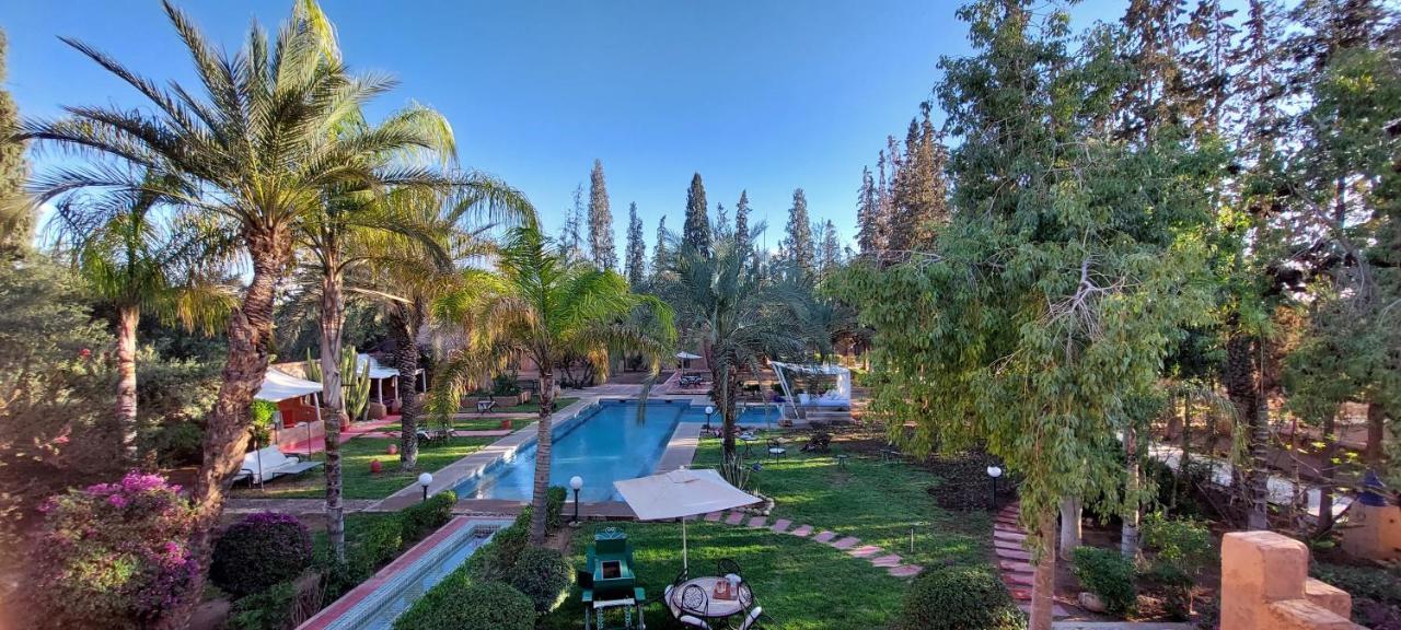Domaine Palmeraie Betelgeuse *