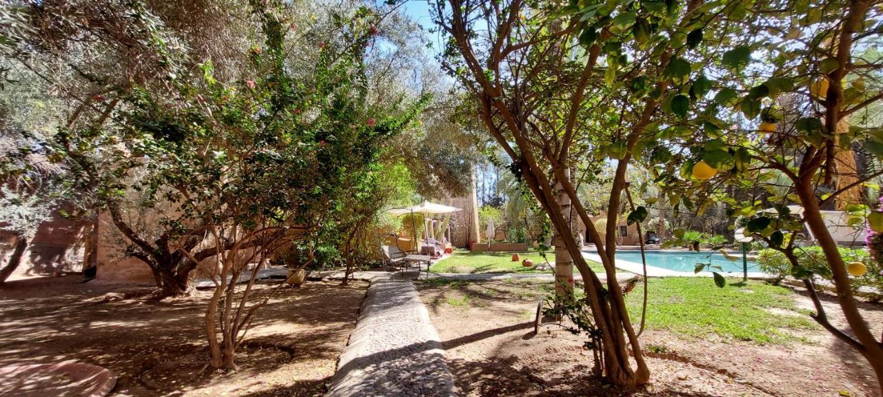 Domaine Palmeraie Betelgeuse Riad *