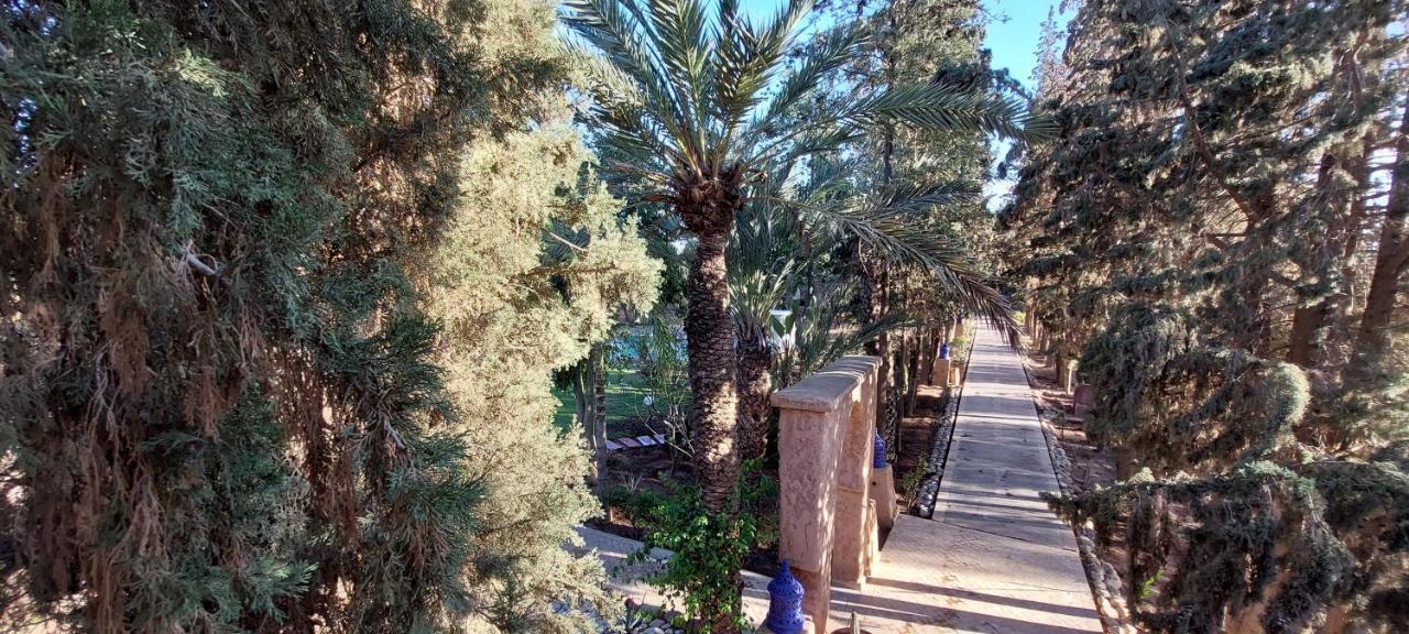 Domaine Palmeraie Betelgeuse Riad *