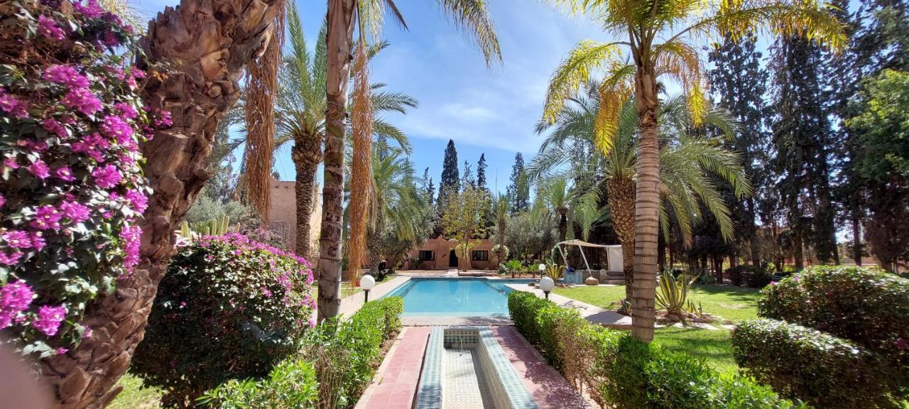 Domaine Palmeraie Betelgeuse Riad *