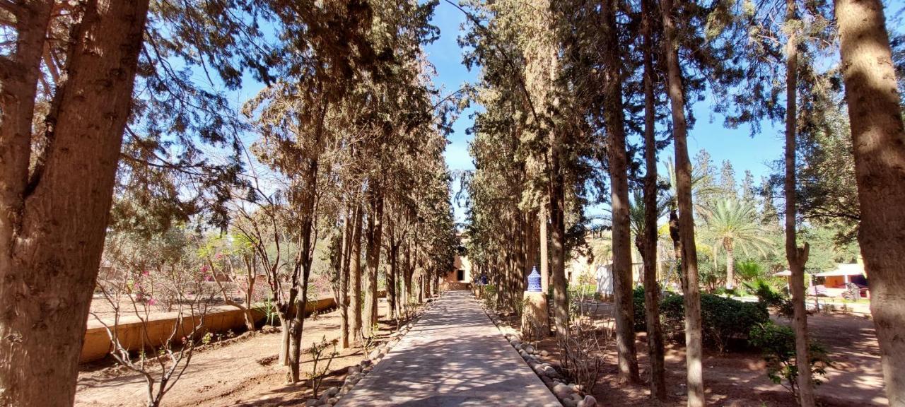 Domaine Palmeraie Betelgeuse Riad *