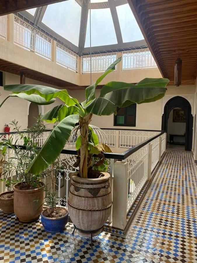 House Marrakesh