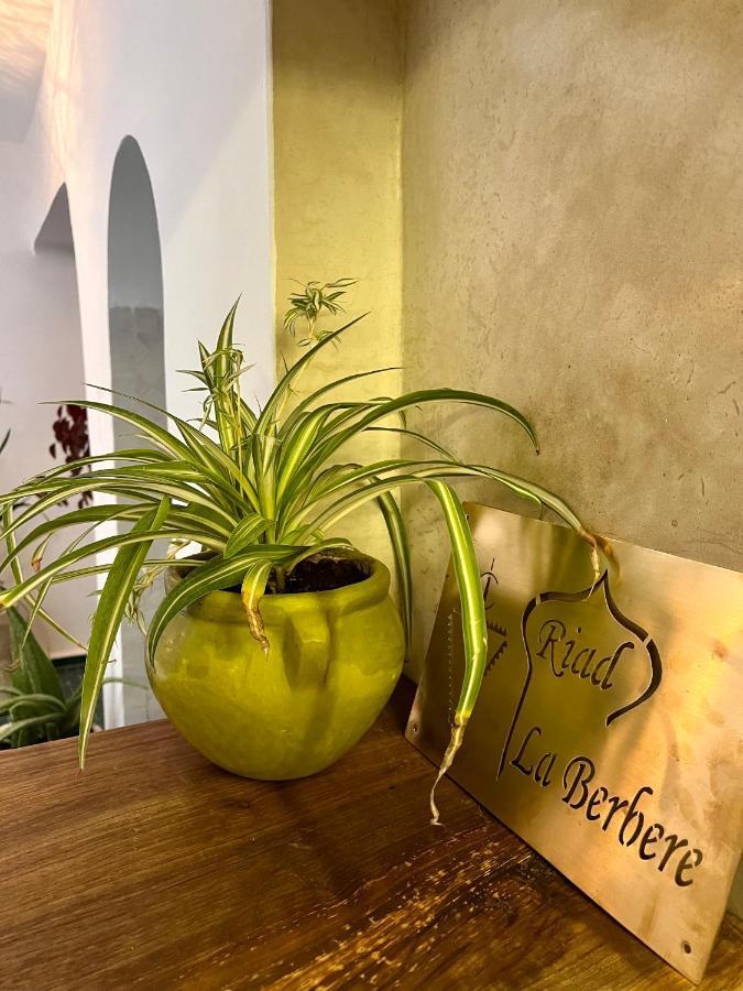 La Berbere Location En Exclusivite A Marrakech *