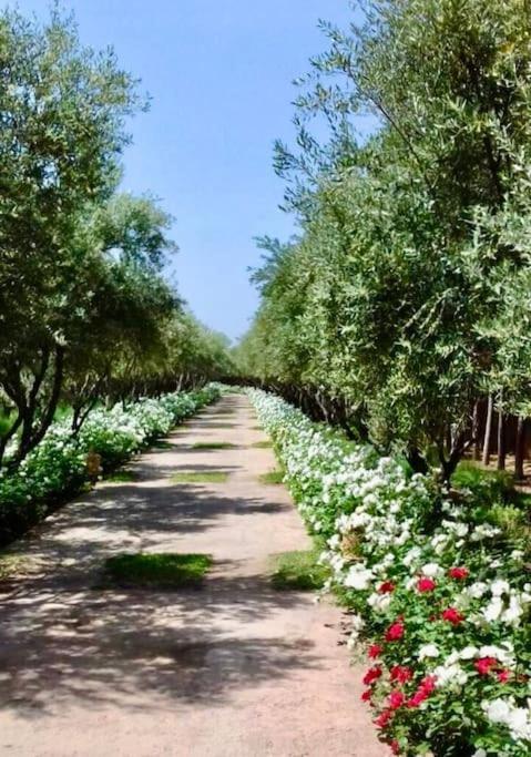 Dar Zeitoun Villa *