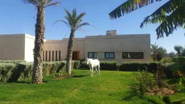 Almulk Marrakesh