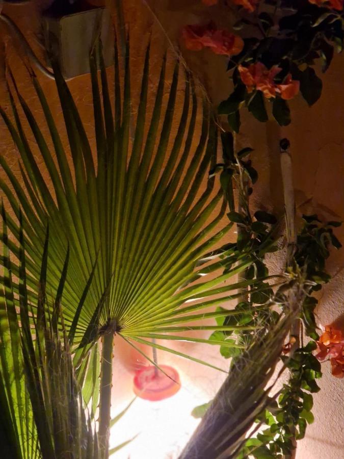 Accommodatie bij particulieren Maison Noe , Al Quaria , Ab40 *