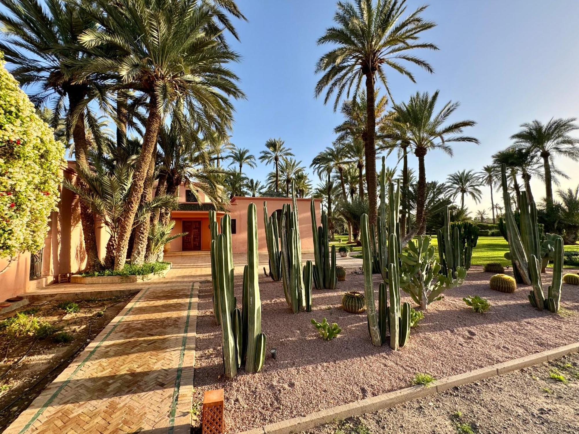 Ross * Marrakesh