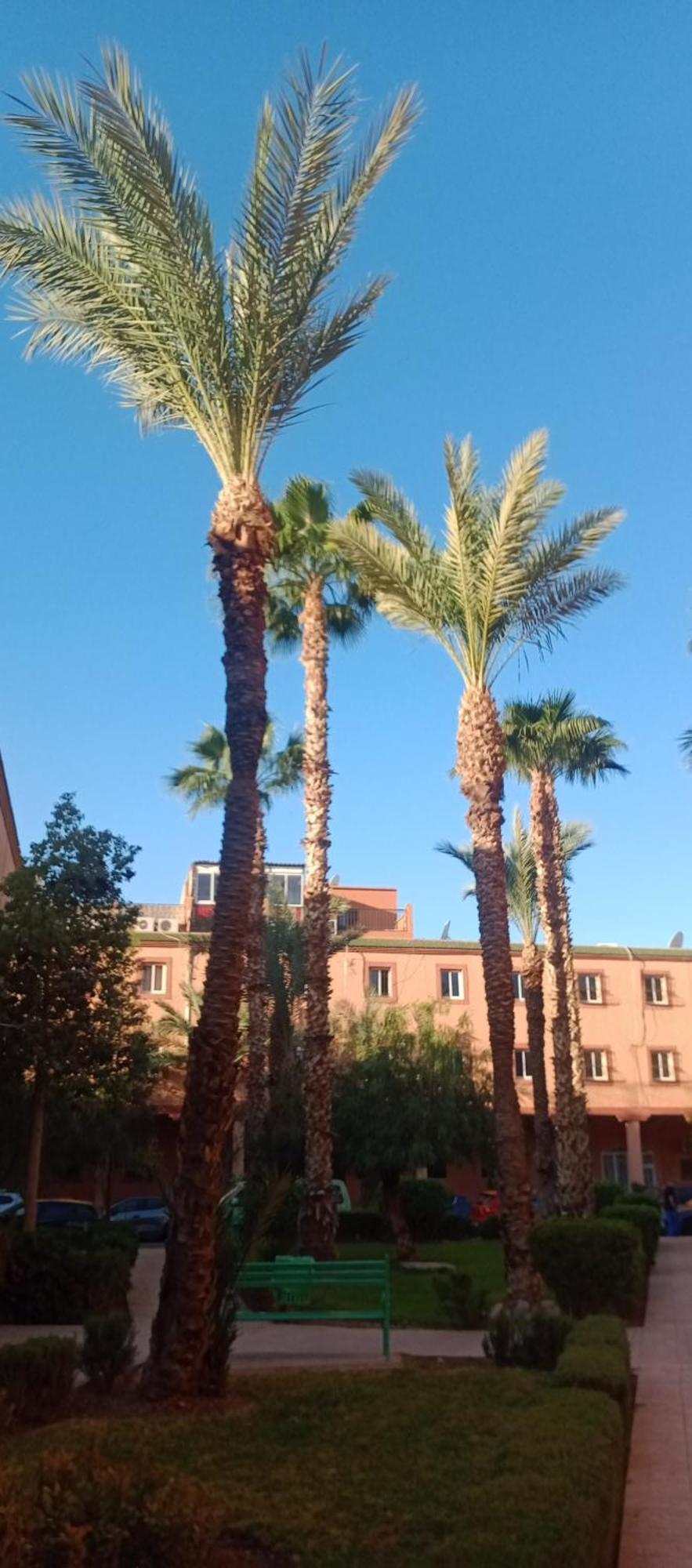 Nour Resorts-riad Nour Travel *