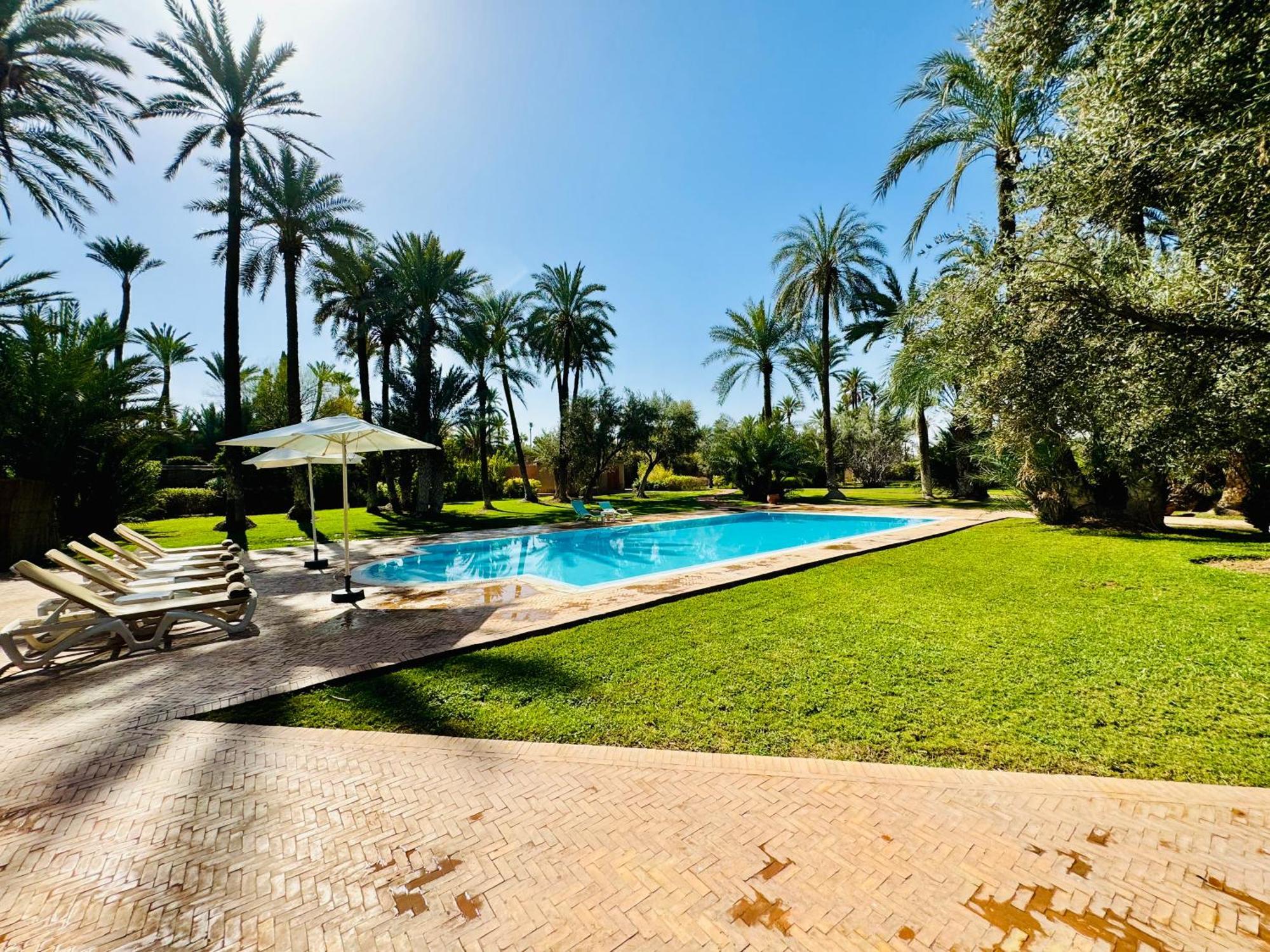 Ross Marrakesh