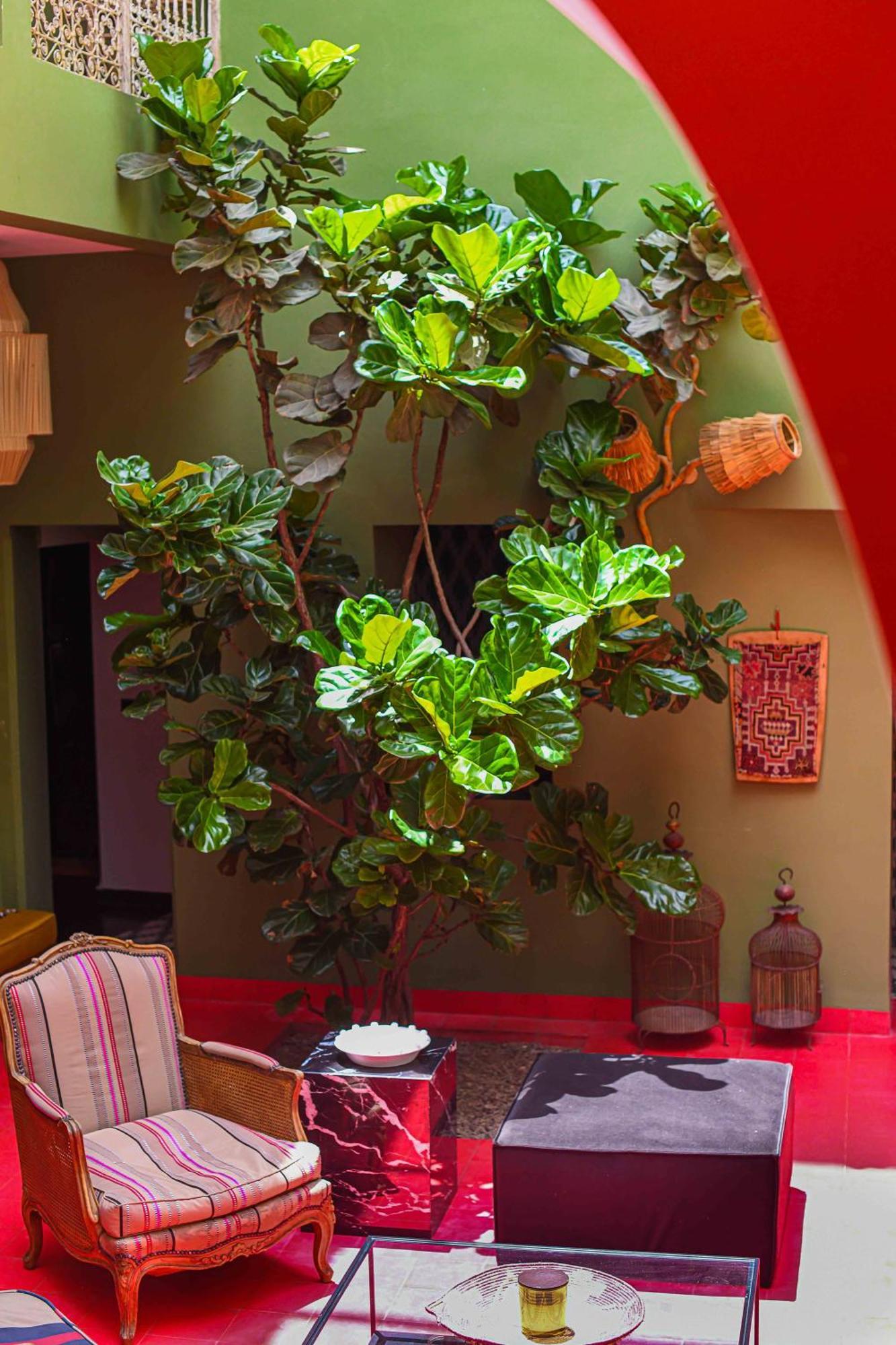 Riad Olive Privatif 4 Personnes Riad *