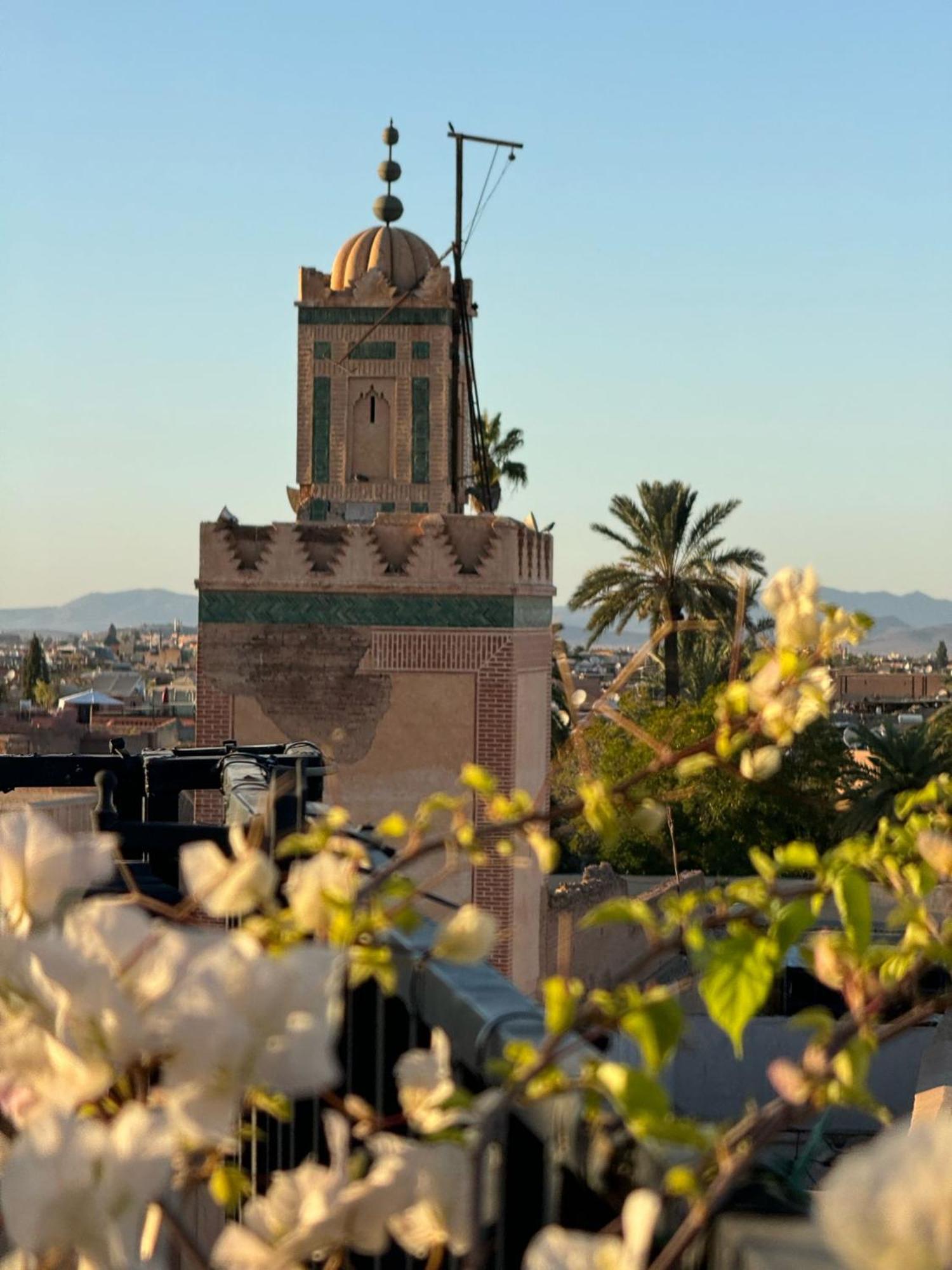 Malayine * Marrakesh