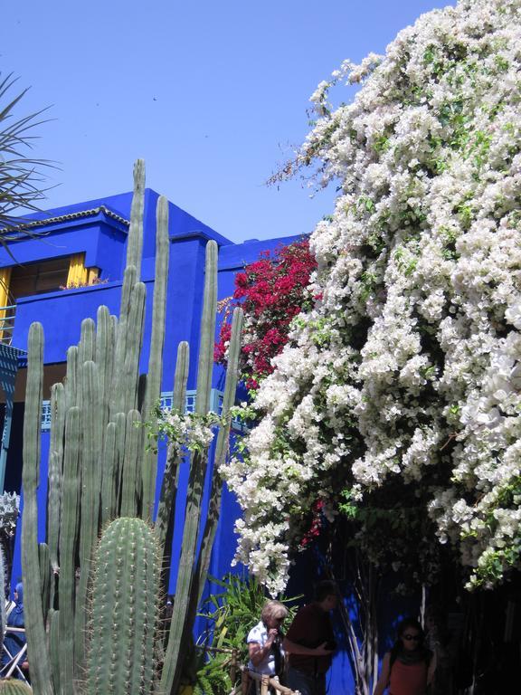 Dar Nouba 4* Marrakesh