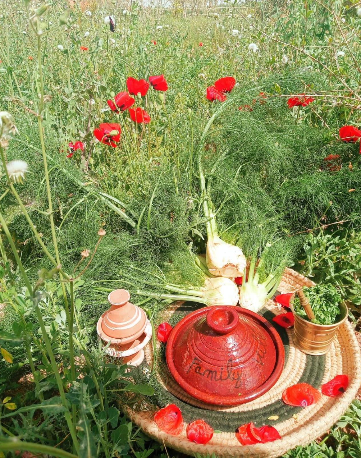 Farm stay Family Village Marrakech *