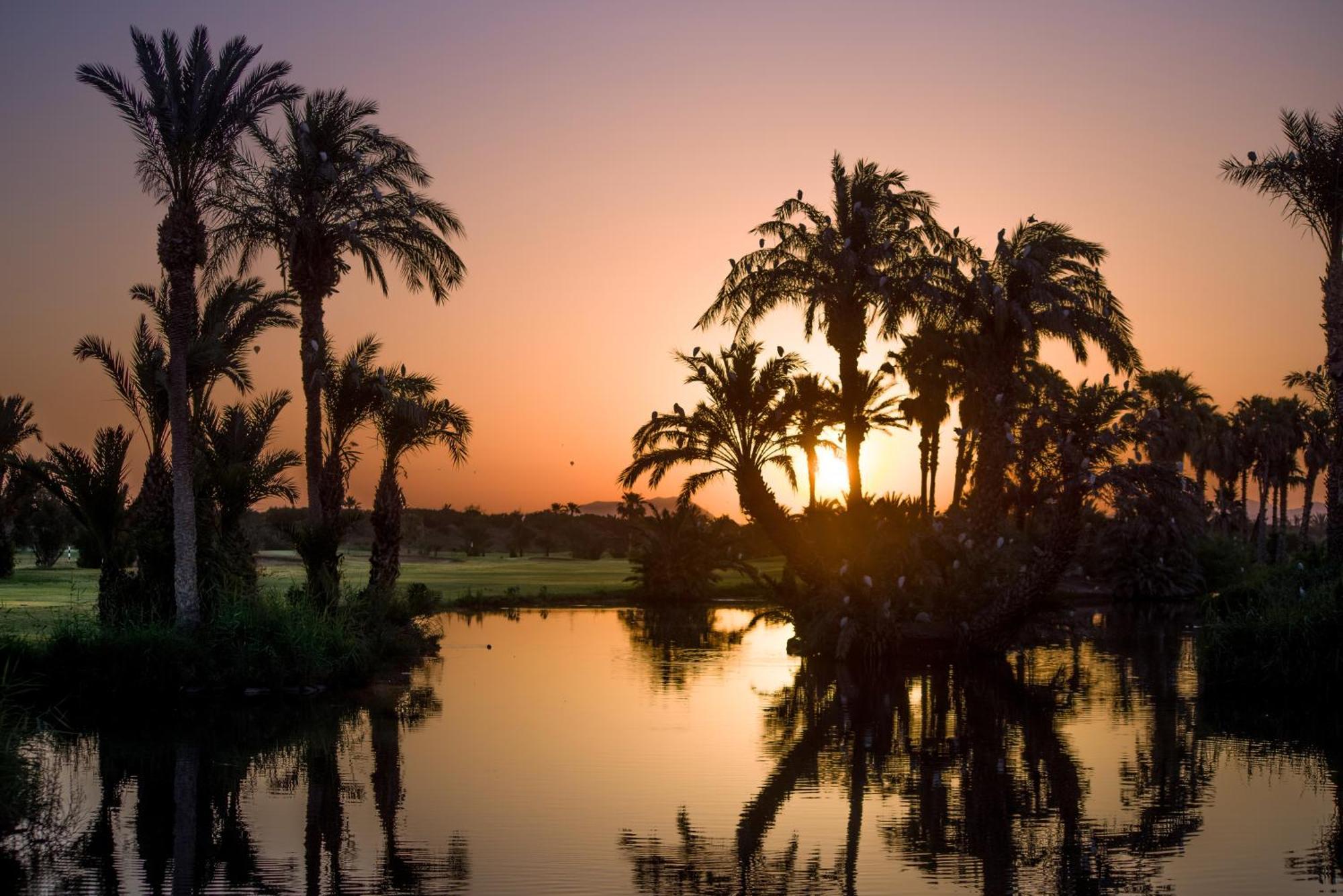 Pickalbatros Golf Club Palmeraie - Adults Friendly 16 Years Plus- Hotel Marrakesh