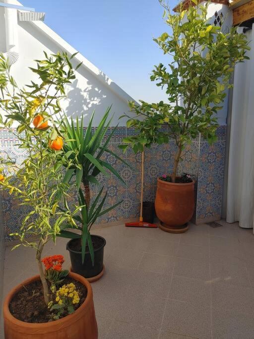 Vakantiehuis Dar Amane - Charmante Maison Marocaine