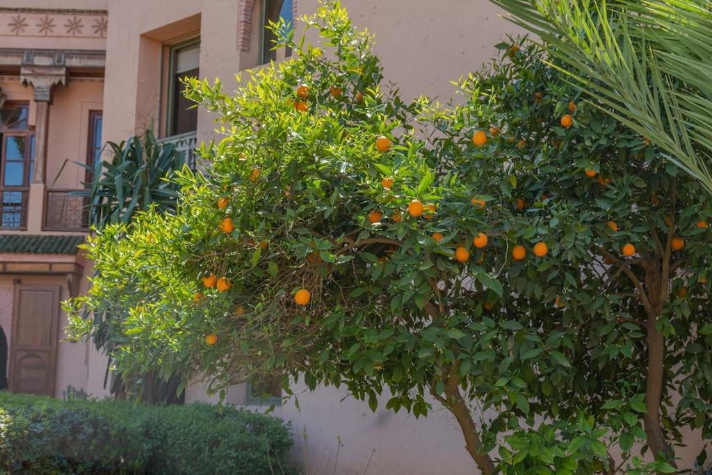 Serenity In La Palmeraie: 2-bed * Marrakesh