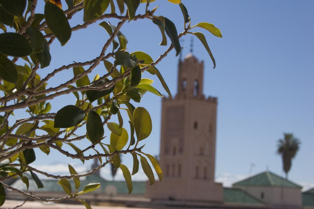 Dar Vedra Et Riad Marrakesh