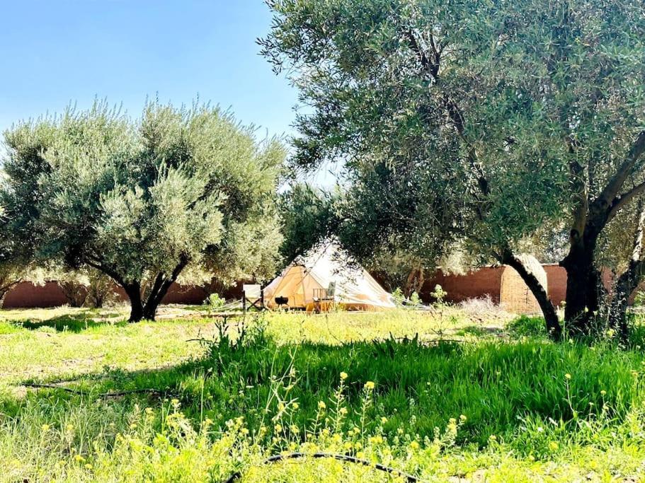 Safran Villa *