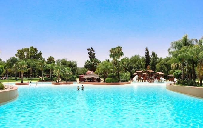De Vos Reve * Marrakesh